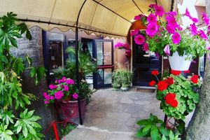 Alojamiento - Hotel Jole