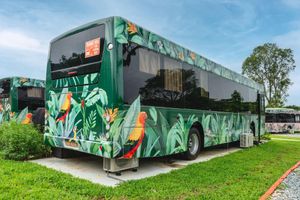 Alojamiento - The Bus Collective
