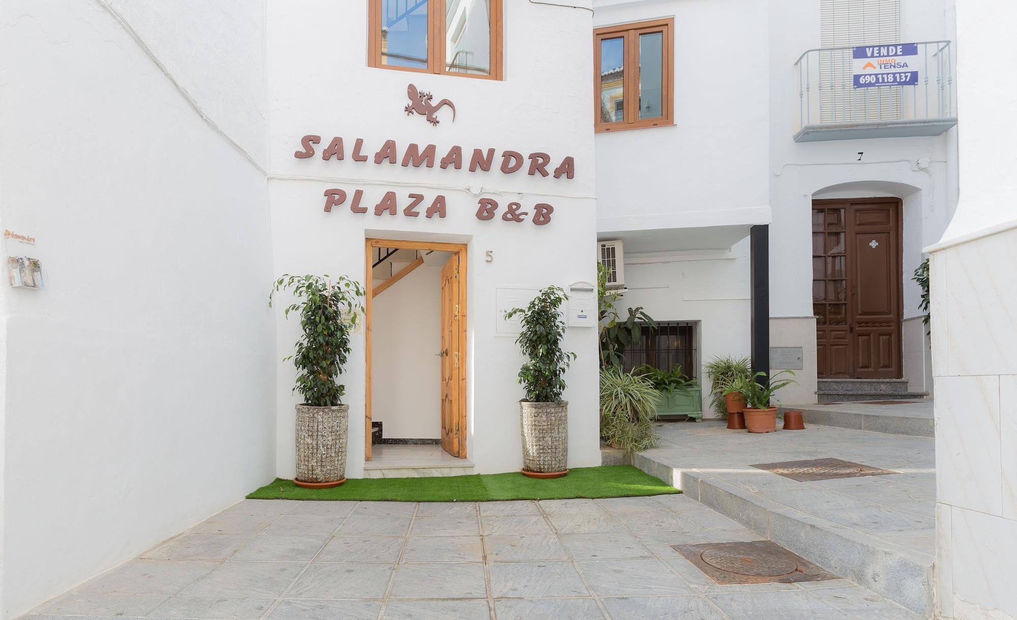 Vista Exterior Salamandra Plaza B&B