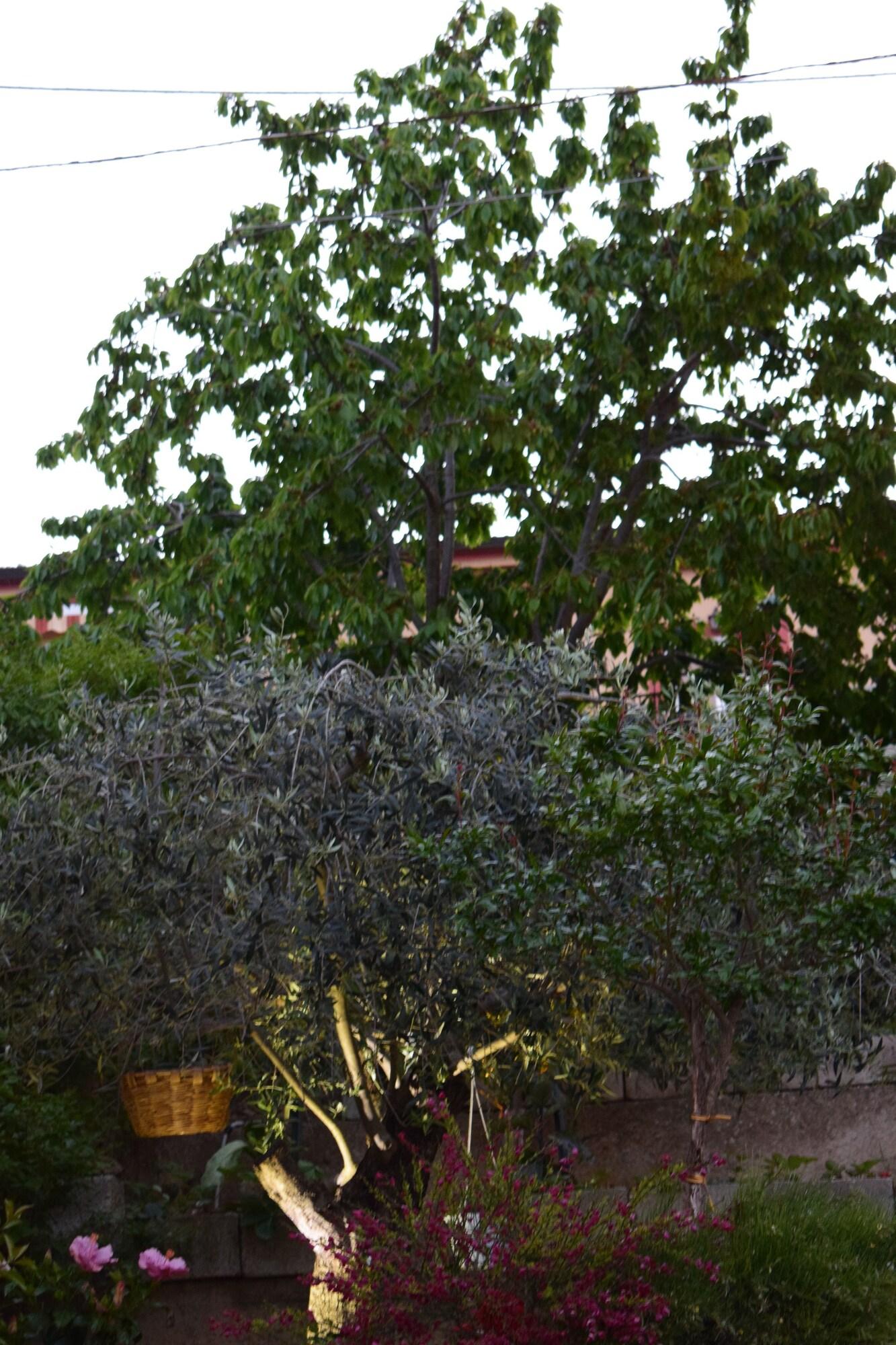 Vista Exterior La Vecchia Taverna B&B