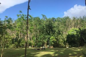 Alojamiento - Baansuan Suksangob Farm Stay