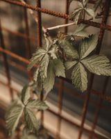 Alojamiento - Torre Del Mayorazgo