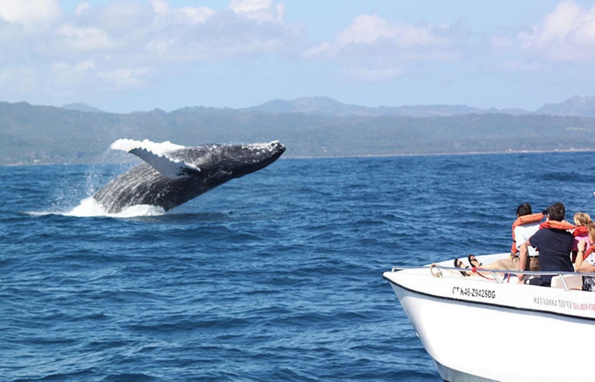 Varios Room-best bed and Breakfast in Samana Br