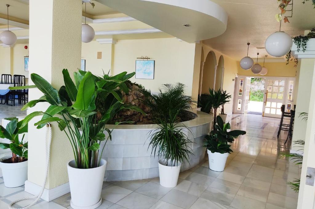 Vista Lobby Hotel Miramar Laredo