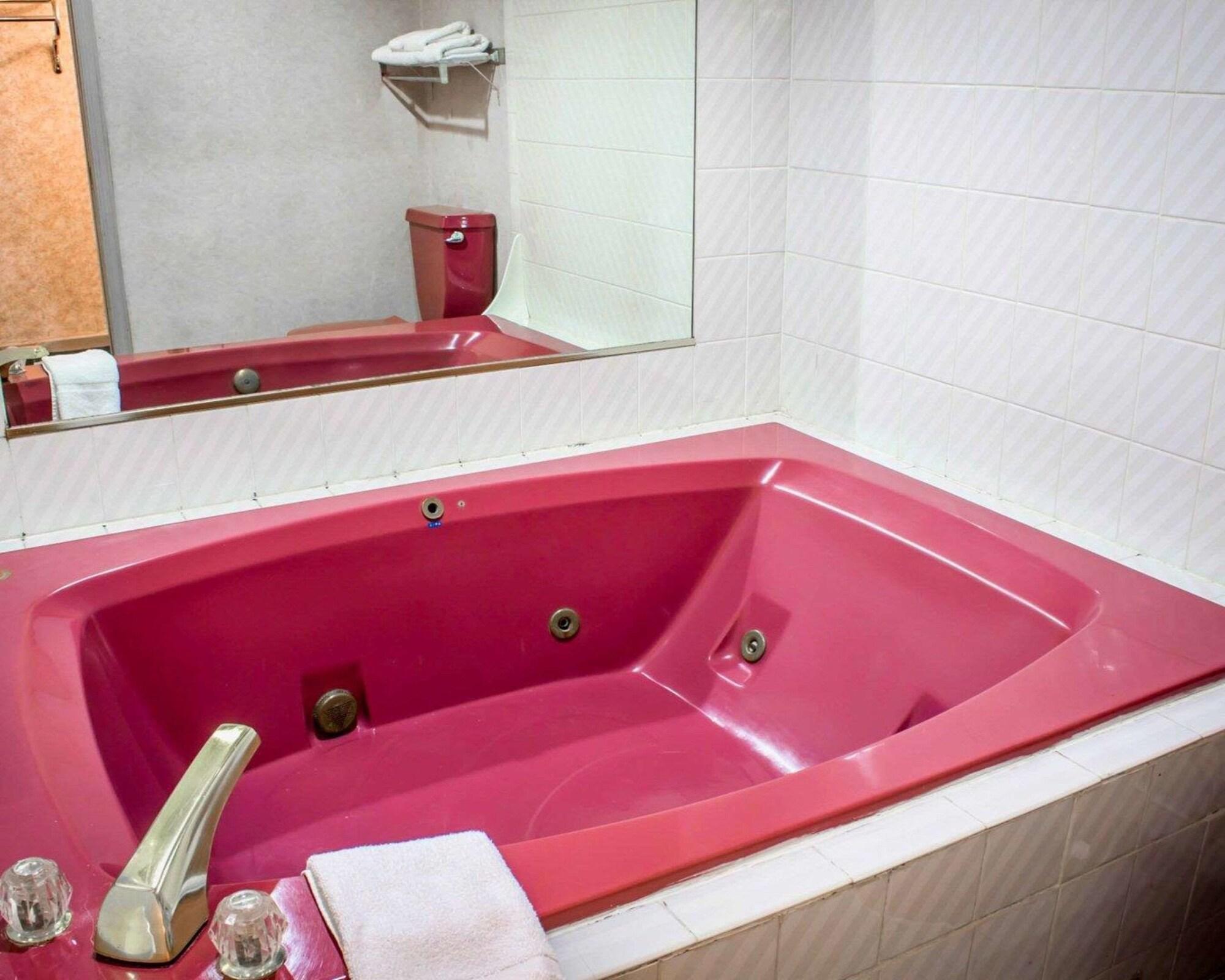 Equipamiento de Habitación Econo Lodge Inn & Suites Colonie Center Mall