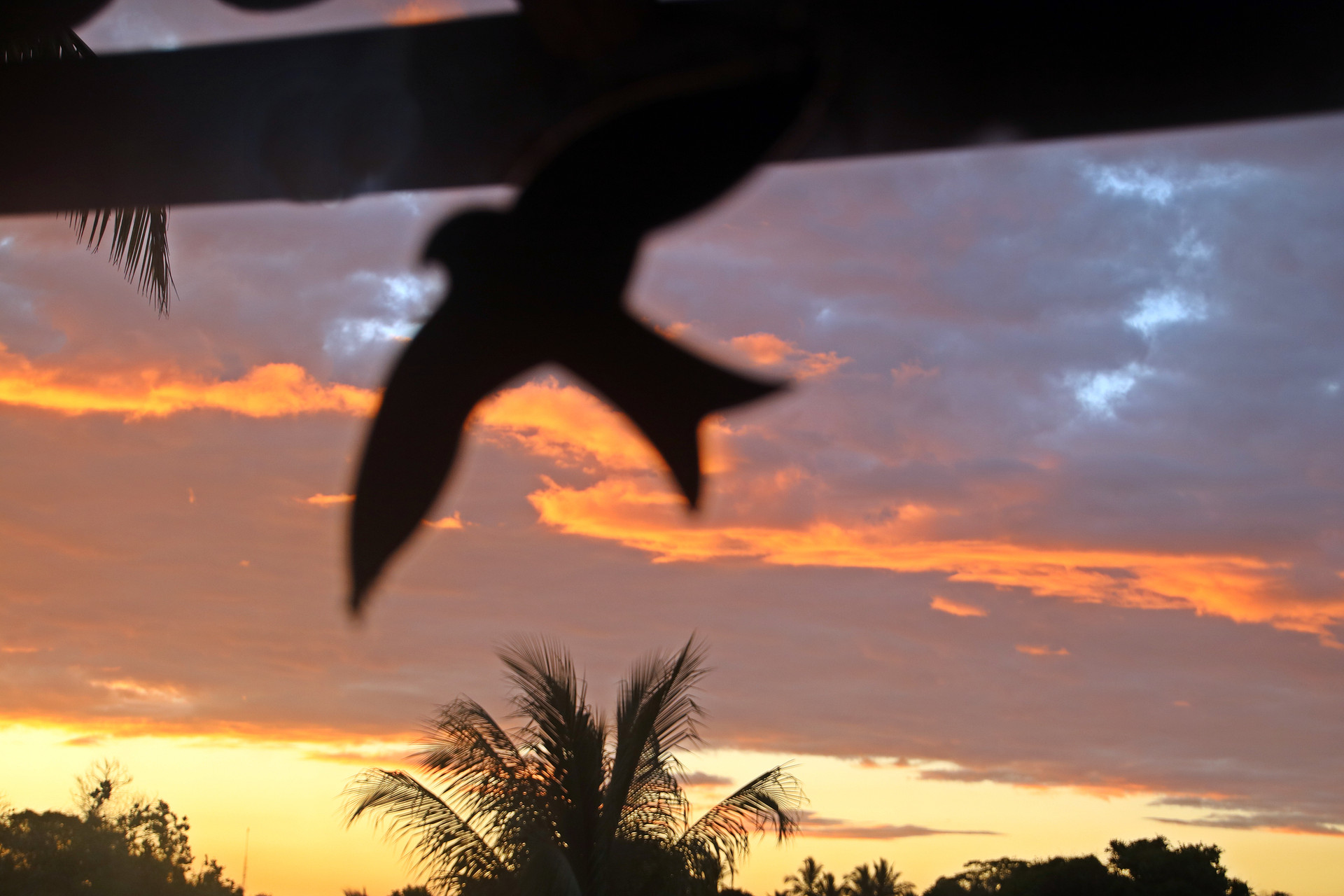 Varios Mayon Trancoso