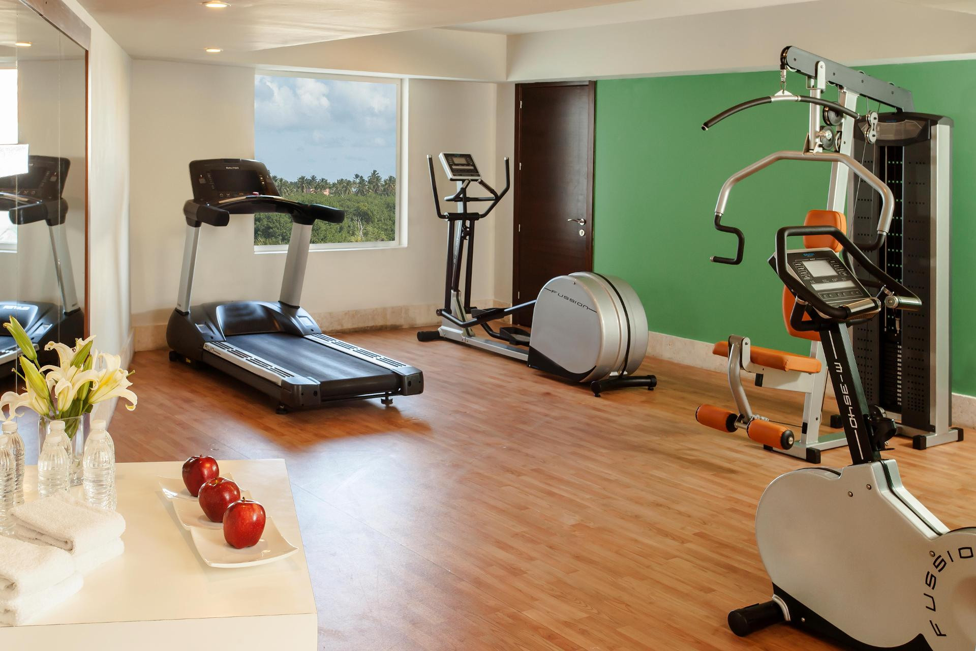 Gimnasio WHE Bávaro