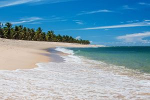 Pacote - Pacotes para Maceió