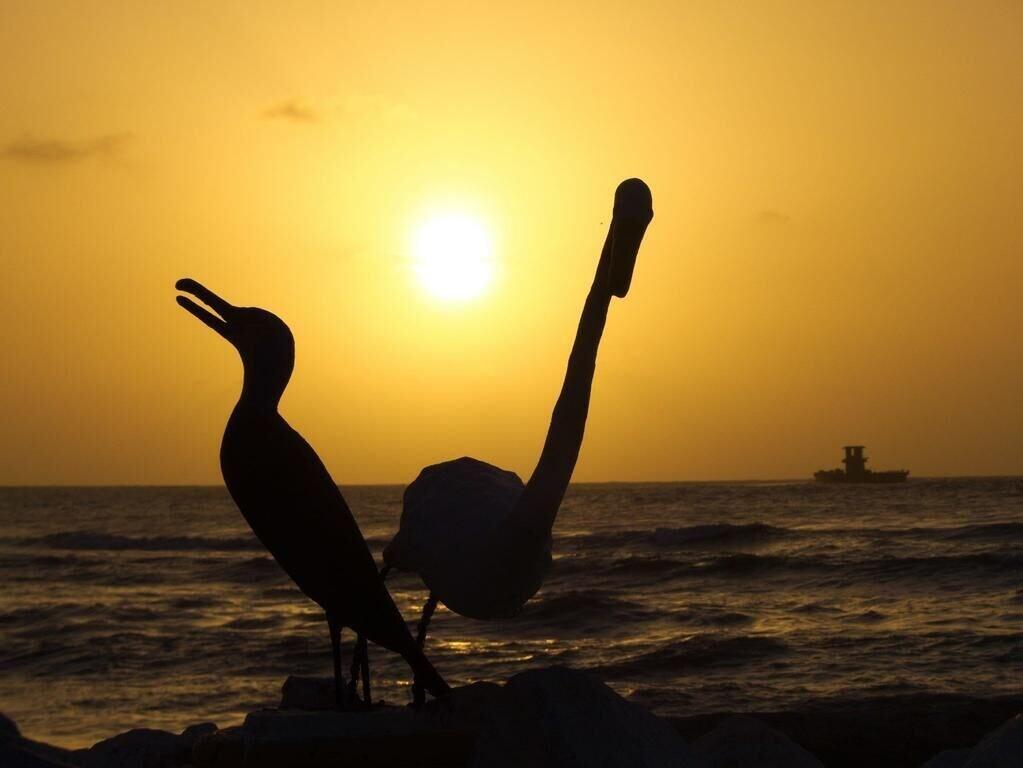 Playa Hotel El Emigrante