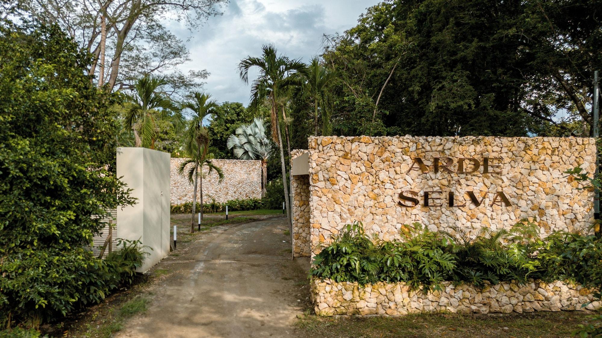 Vista Exterior Arde La Selva