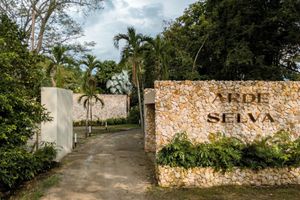 Alojamiento - Arde La Selva