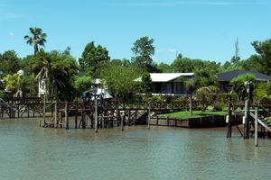 Actividad - Excursión al Delta de Tigre Clásico desde Buenos Aires