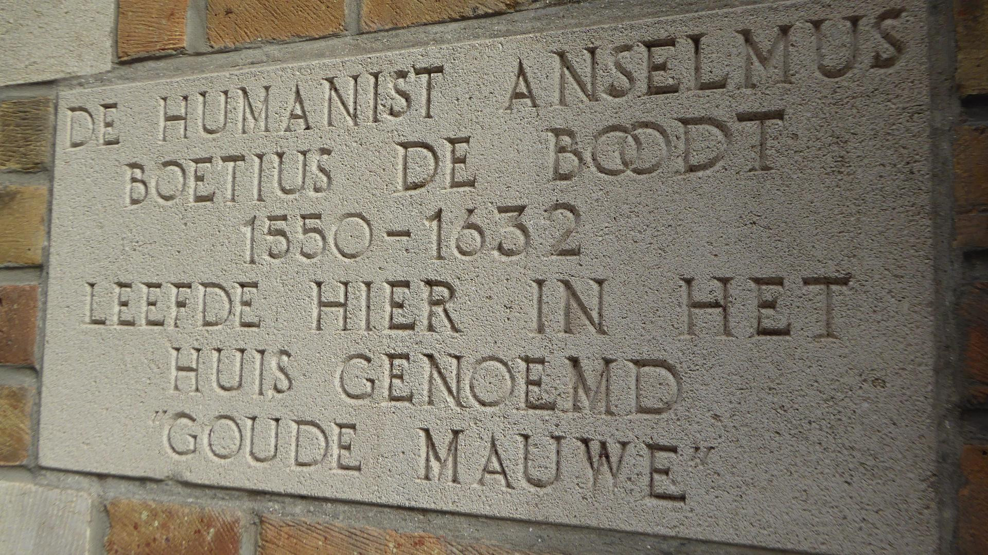 Vista Lobby The Black Swan Hotel