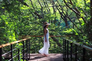 Alojamiento - Rio Perdido Hotel & Thermal River