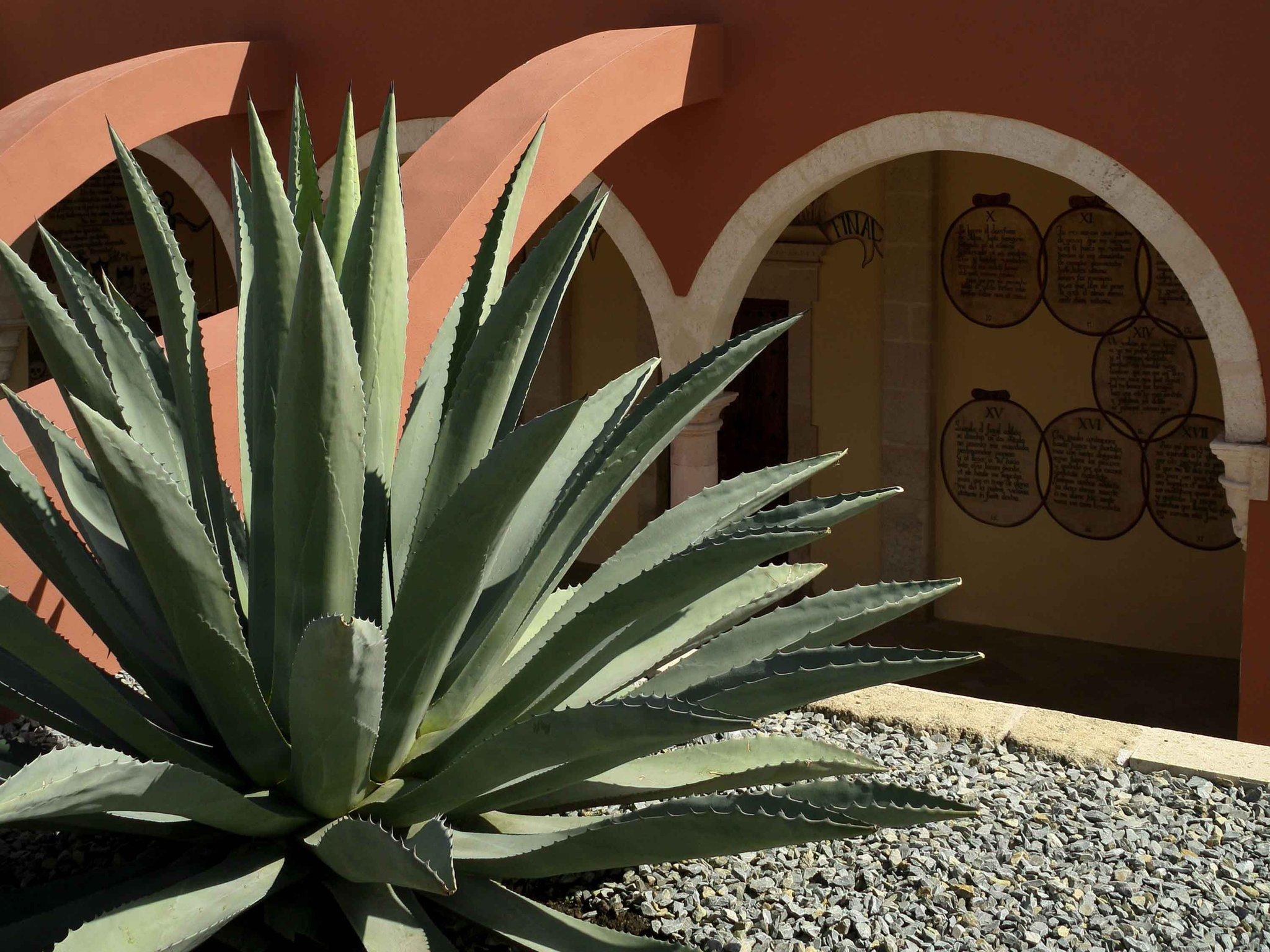 Vista Exterior ibis Aguascalientes Norte