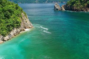 Actividad - Excursión a Isla Tortuga