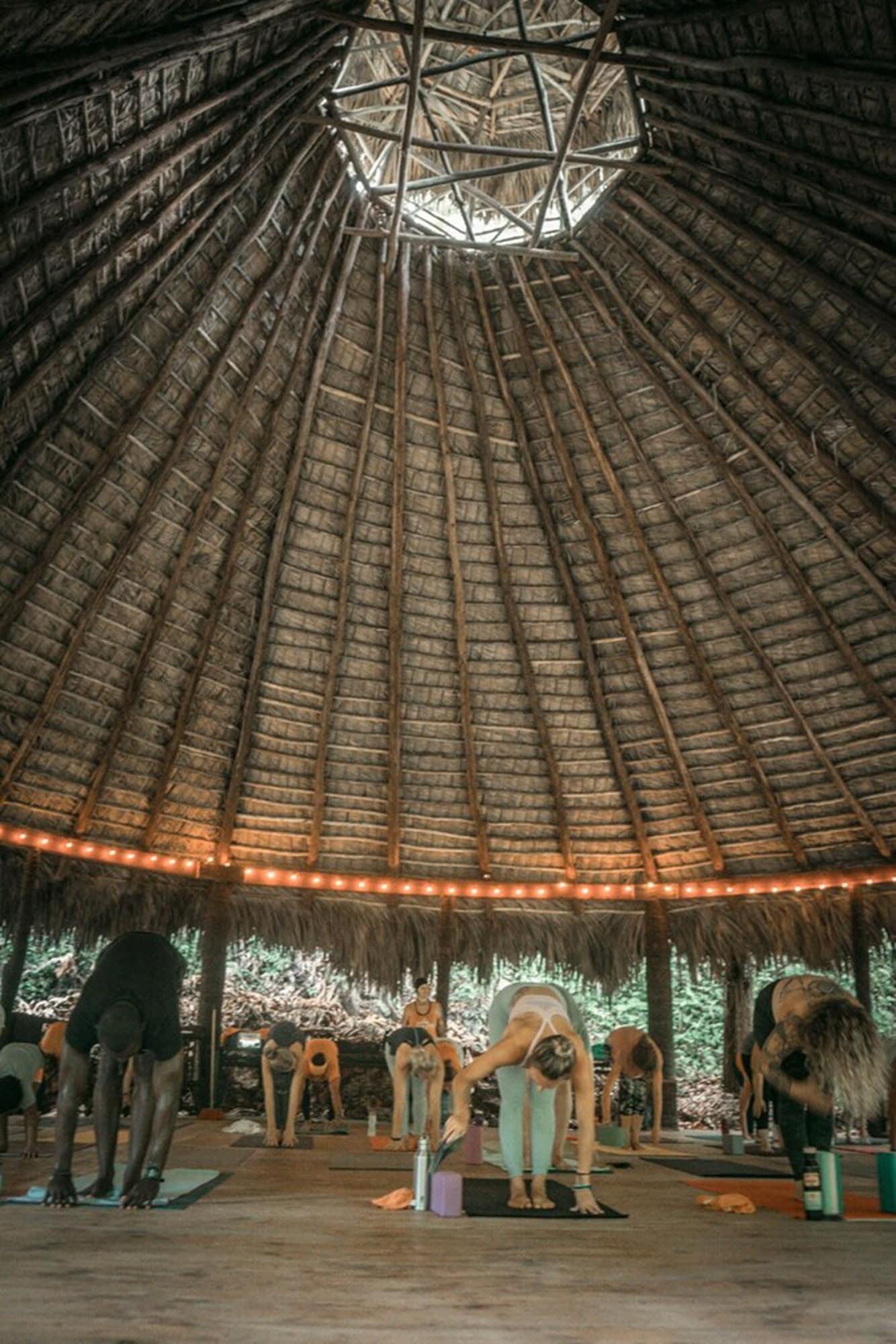 Gimnasio Dominican Tree House