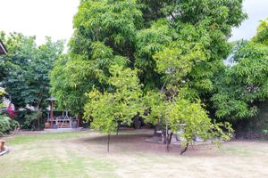 Alojamiento - The Inn at 6