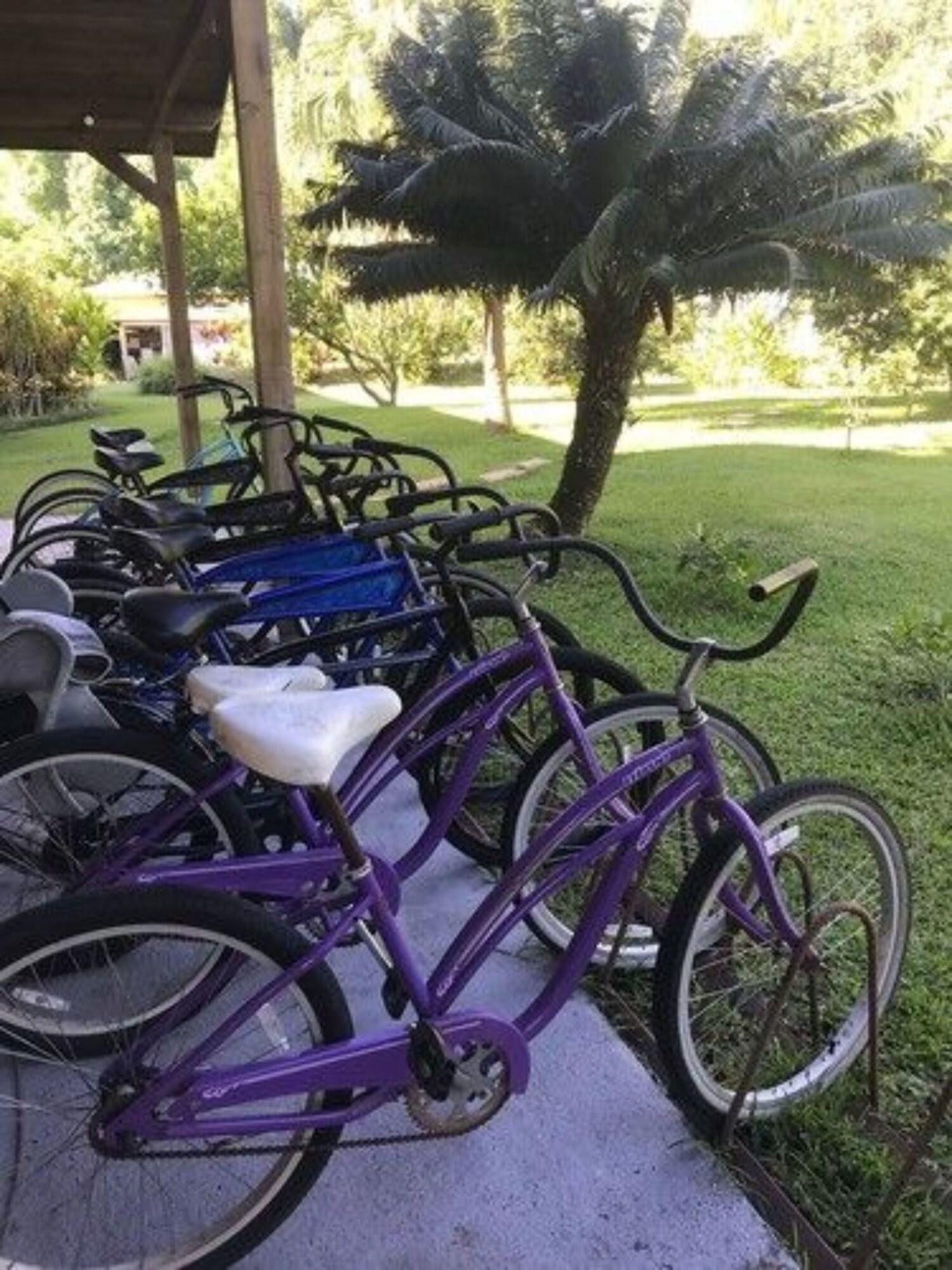 Instalaciones Recreativas Raiatea Lodge Hotel