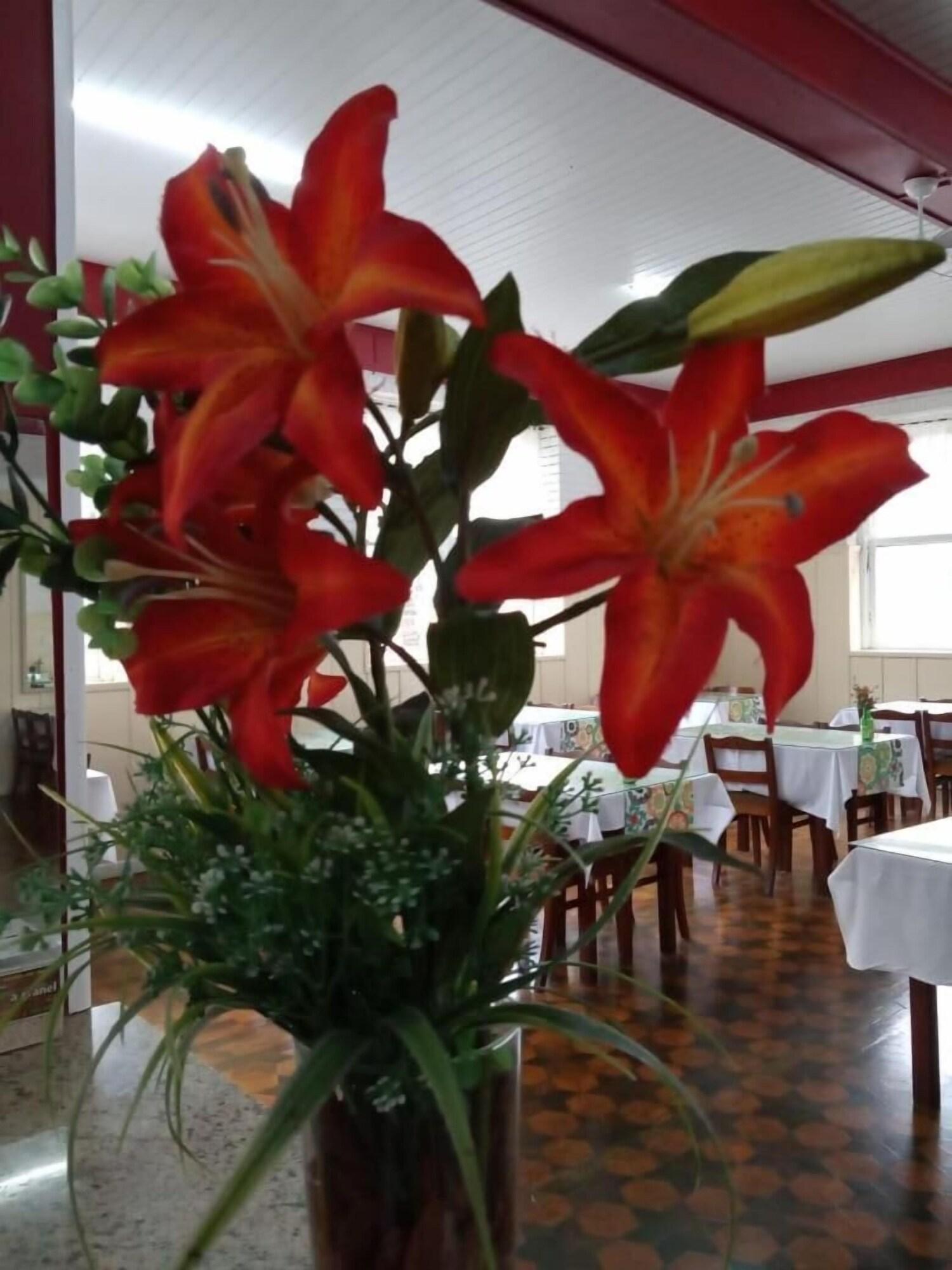 Comodidades del Alojamiento Grande Hotel Torres