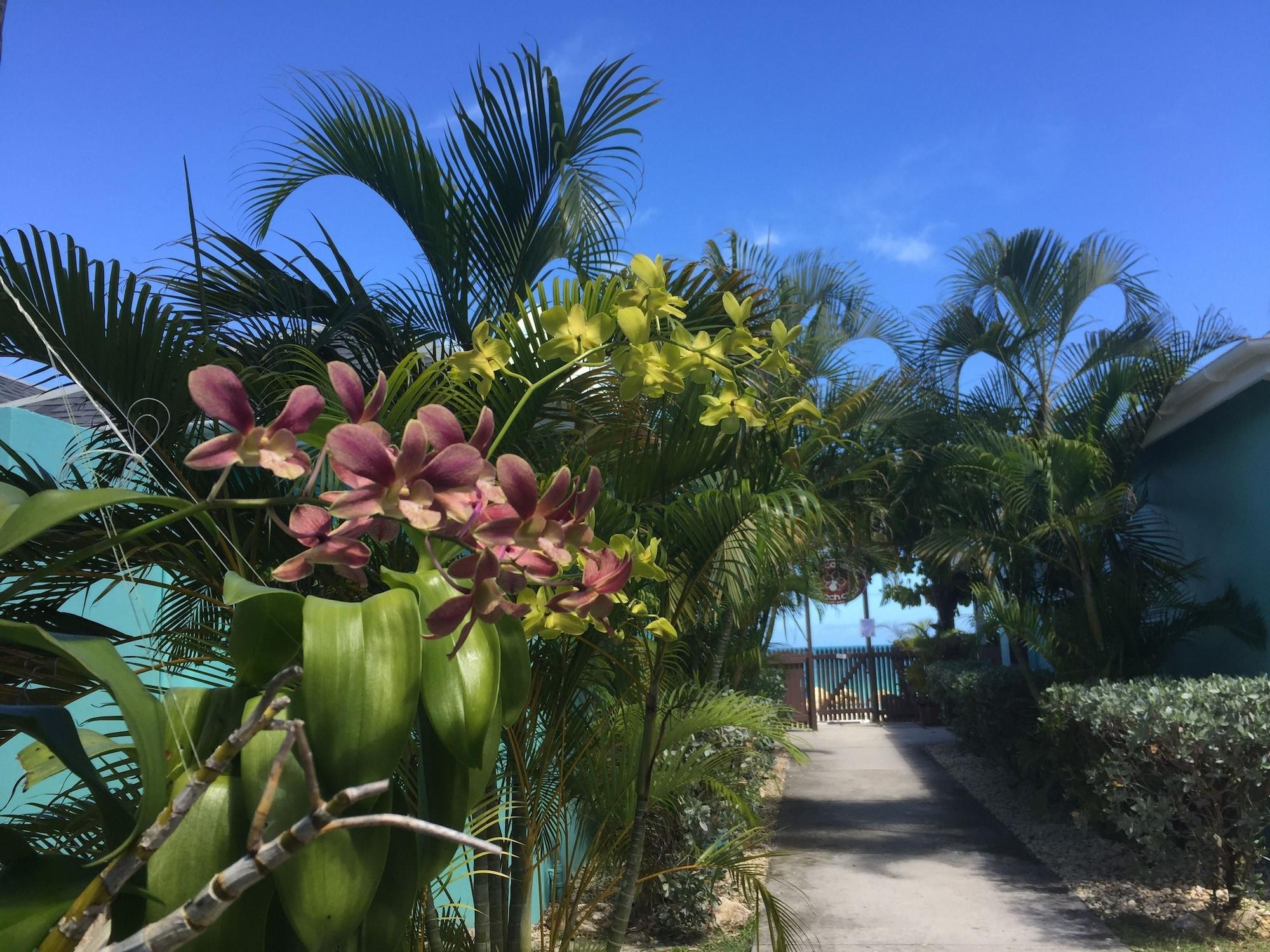 Vista Exterior Buccaneer Beach Club