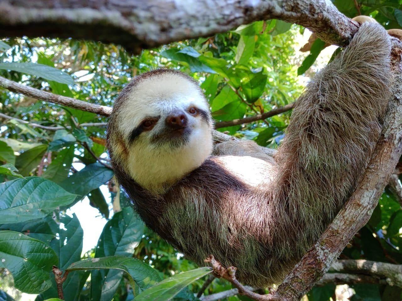 Vista Lobby Mermaid Hotel Amazon