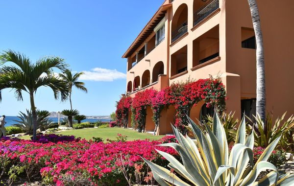 San Jose Del Cabo: una alternativa de aventura