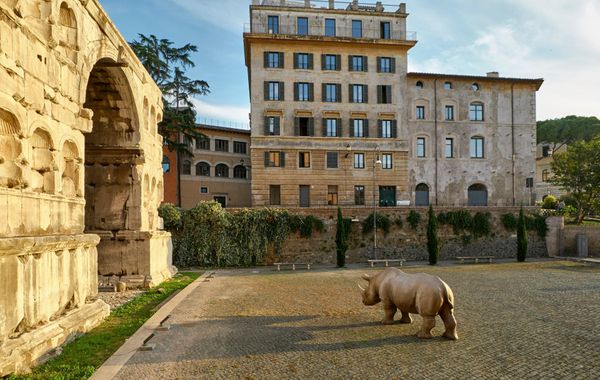 Rhinoceros