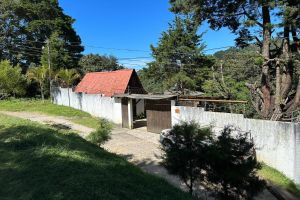 Alojamiento - Hotel del Bosque