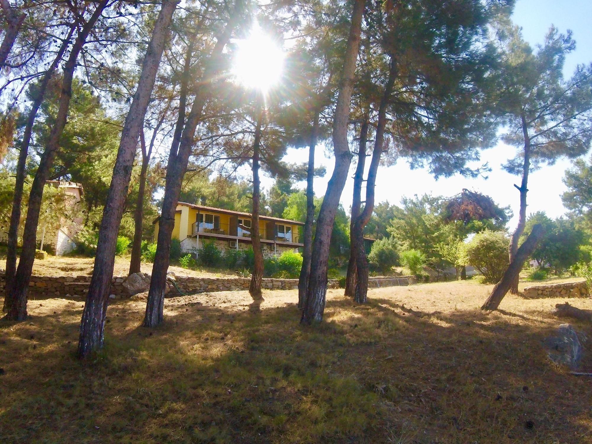 Varios Rainbow Bay
