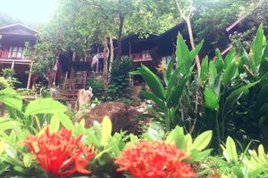 Alojamiento - Phi Phi Green Hill Resort
