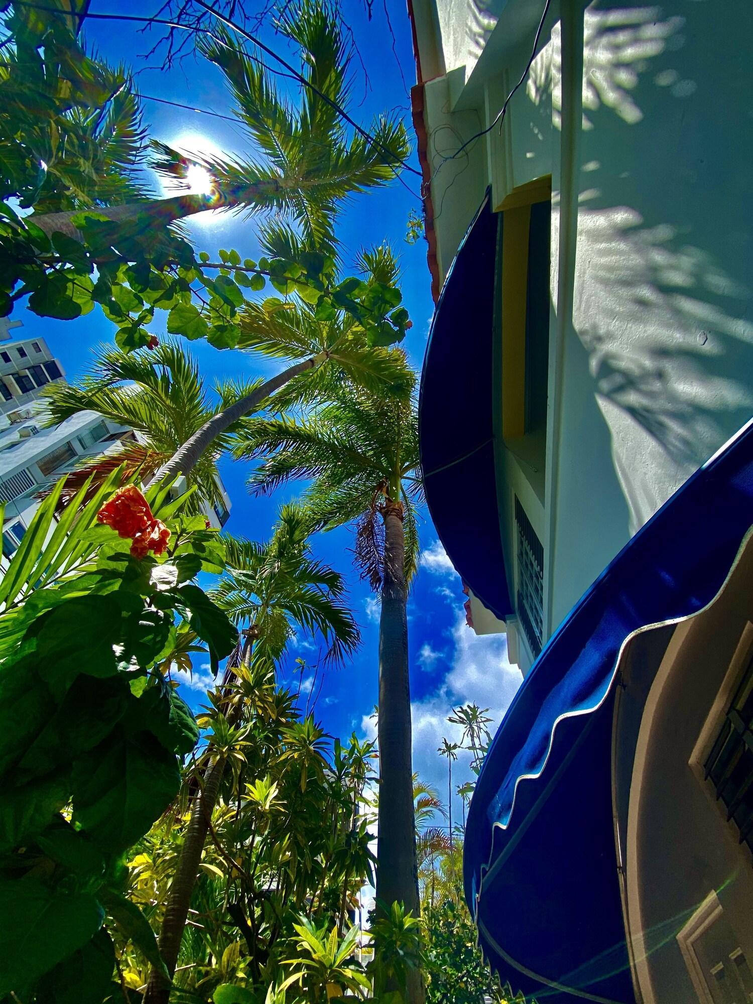 Vista Exterior At Wind Chimes Boutique Hotel
