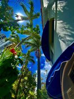 Alojamiento - At Wind Chimes Boutique Hotel