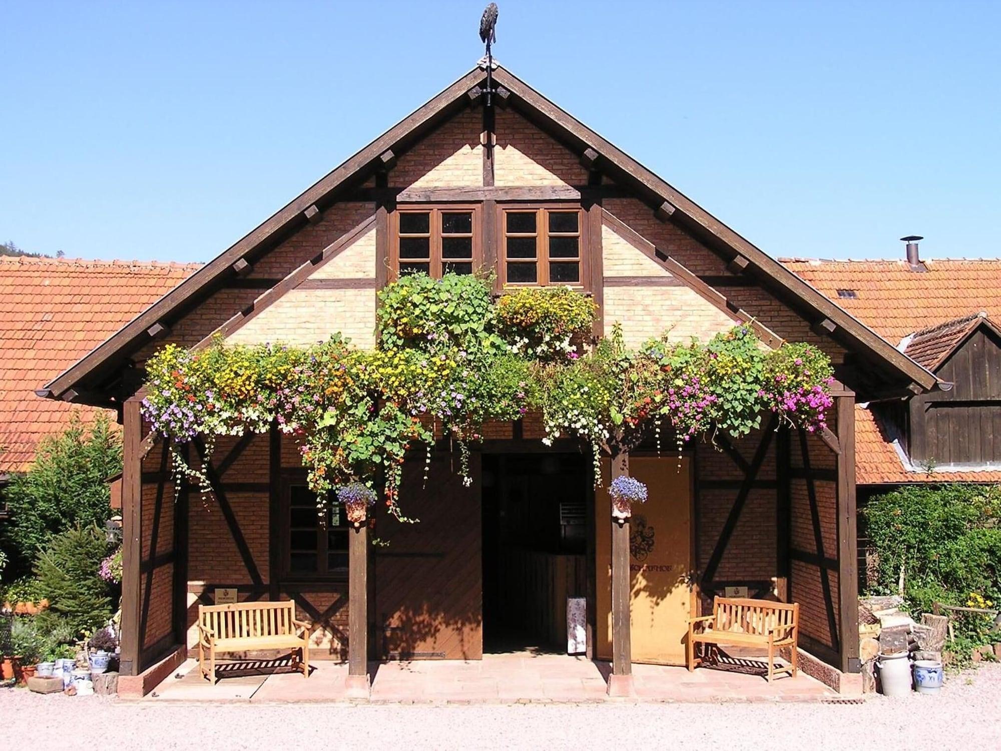 Vista Exterior Hotel Der Schafhof Amorbach