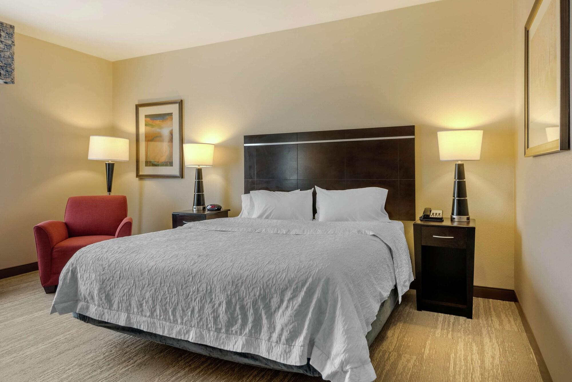 Habitación Hampton Inn Alamosa, CO