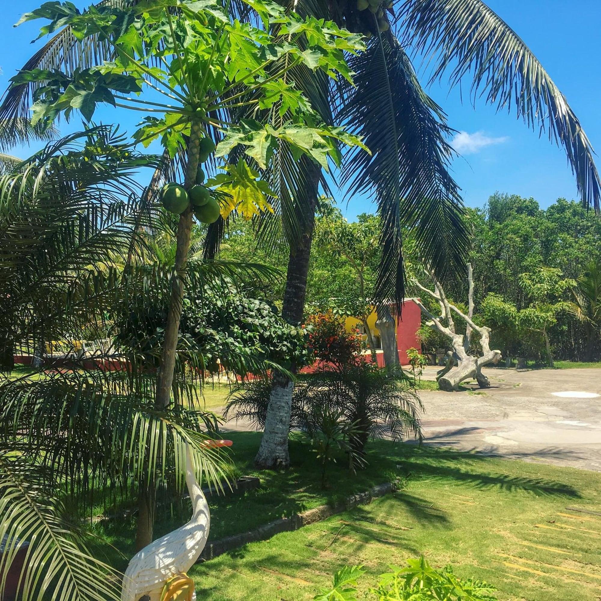 Comodidades del Alojamiento Pousada dos Gravatais