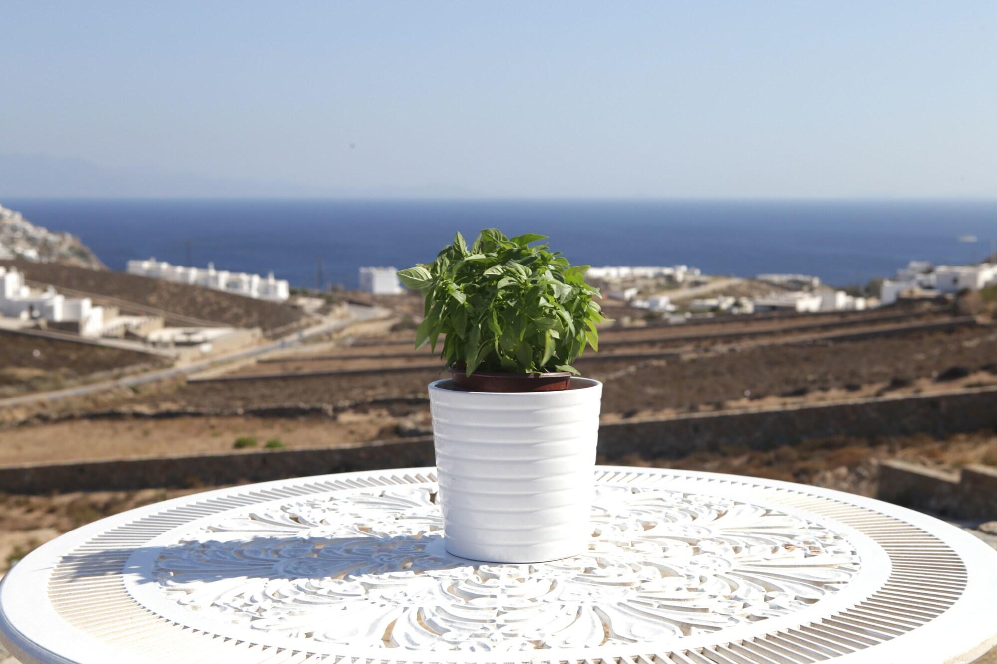 Playa Niriides Homes & Villas