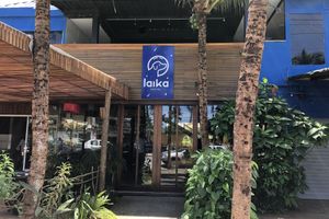 Alojamiento - Laika Hostel