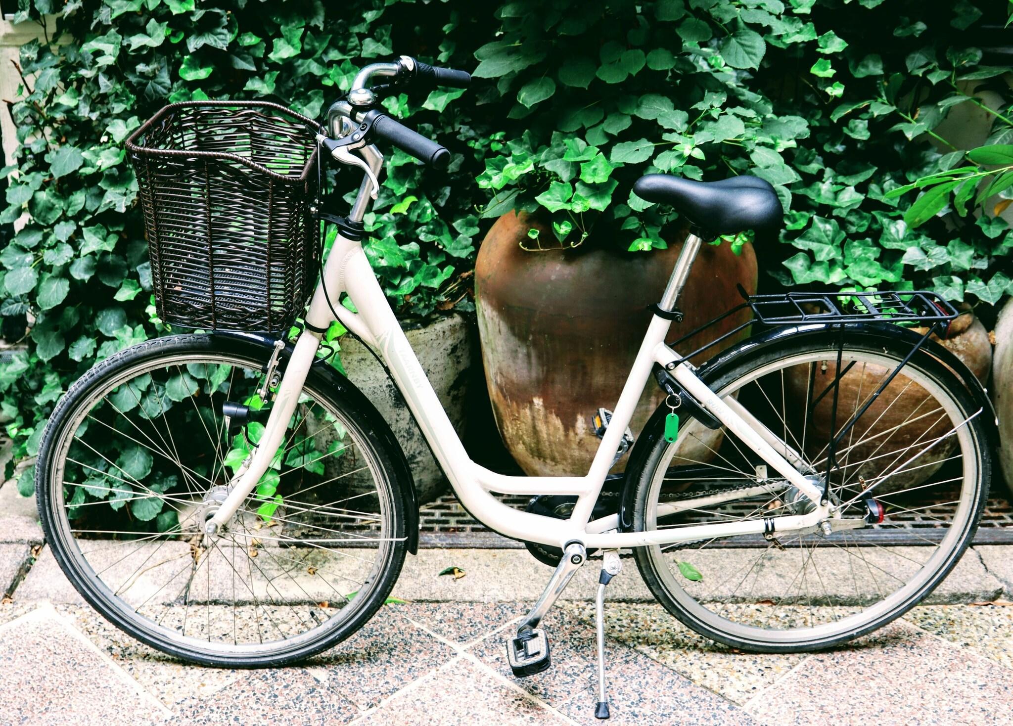 Instalaciones Recreativas Coco Hotel