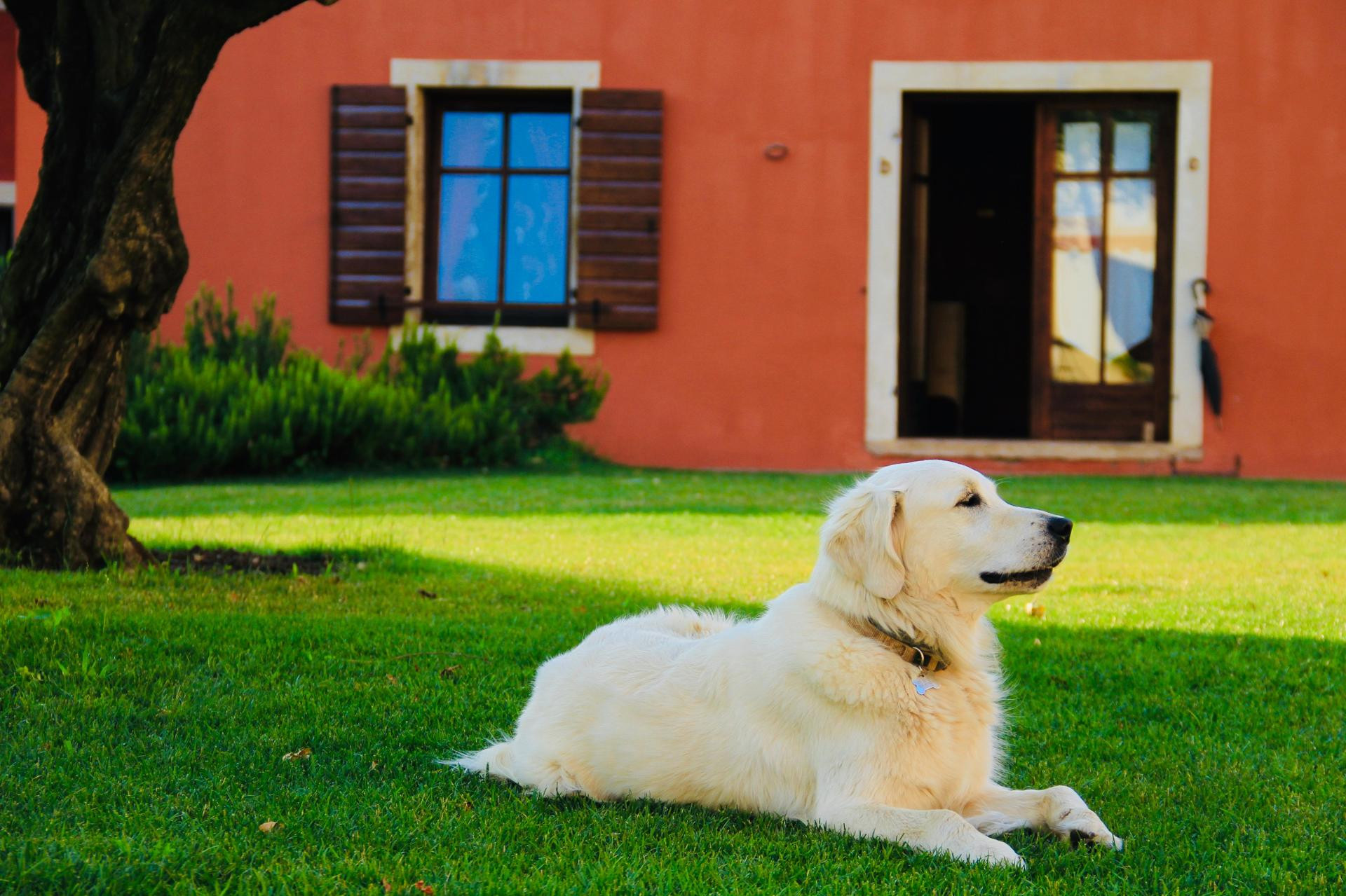 Vista Lobby Musella Winery & Relais