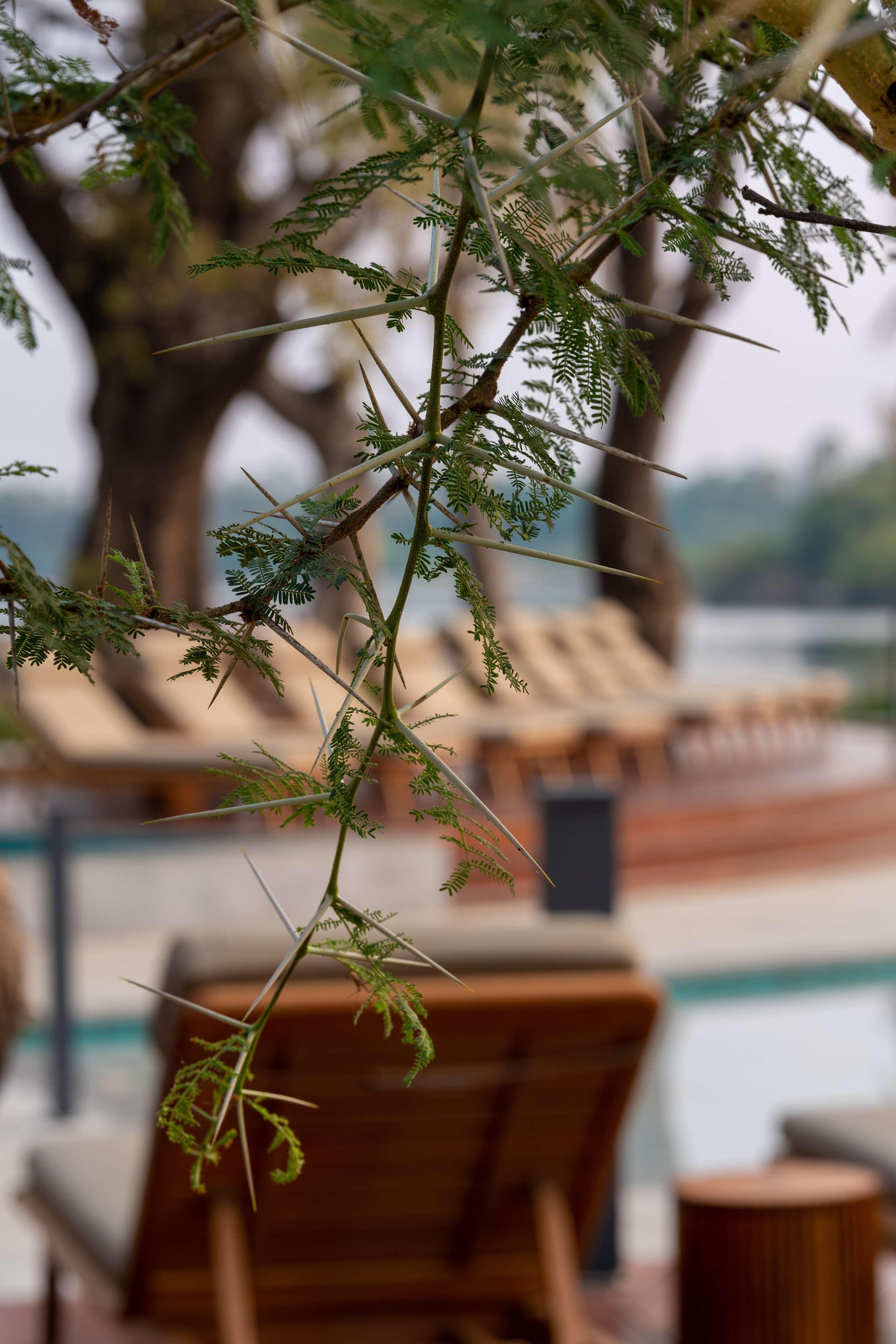 Vista Exterior Radisson Blu Mosi-oa-Tunya Livingstone Resort