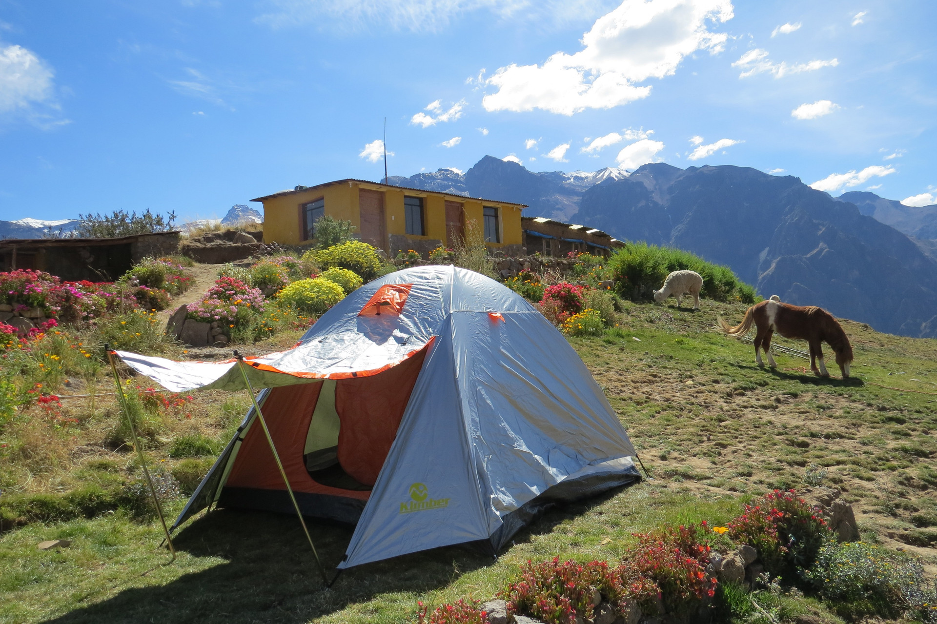 Instalaciones Recreativas La Granja del Colca