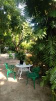 Alojamiento - Jungle Palace hostal santaella