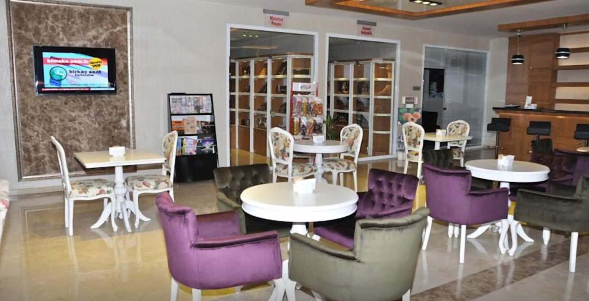 Bar/Salón Hanem Hotel