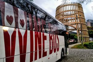 Actividad - Wine Bus Garibaldi Con Tim Tim Tour y 3 Bodegas