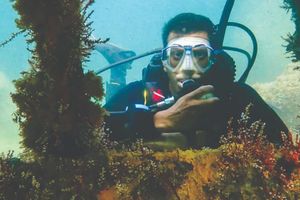 Actividad - Buceo en los naufragios de Ilhabela