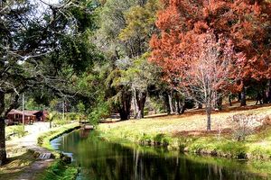 Passeio - Tour Ecológico em Campos do Jordão