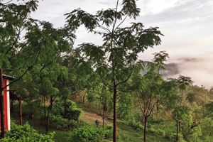 Alojamiento - LaHermitage Resort