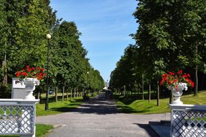 Actividad - Descubre más allá: Tallin es mucho más que su casco antiguo - Tour privado