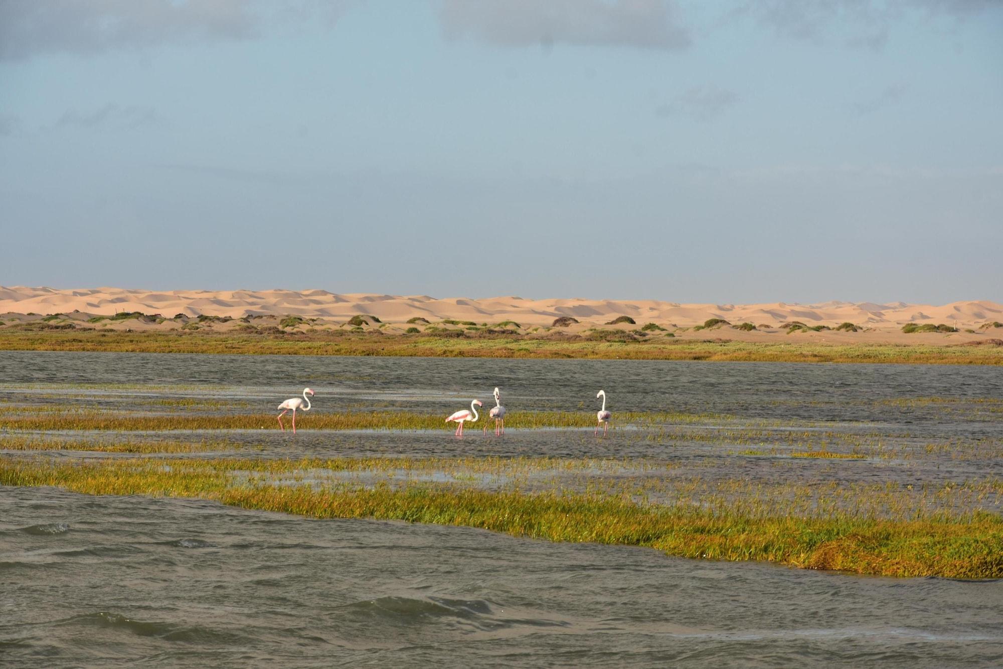 Varios HOTEL SAHARA BEACH AKHFENNiR